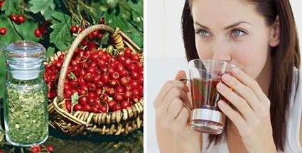 Folk remedies for varicose veins on the legs