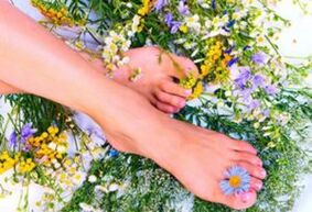 medicinal herbs are effective in the early stages of varicose veins